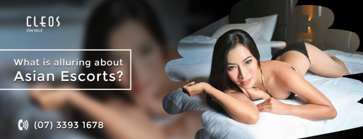 Adult & Escort Services