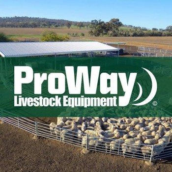 ProWay Cattle Loading Ramps