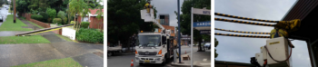 Call Accredited Level 2 Electrician in Bondi