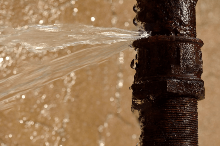 Water Damaged Carpet Repair Experts in Melbourne