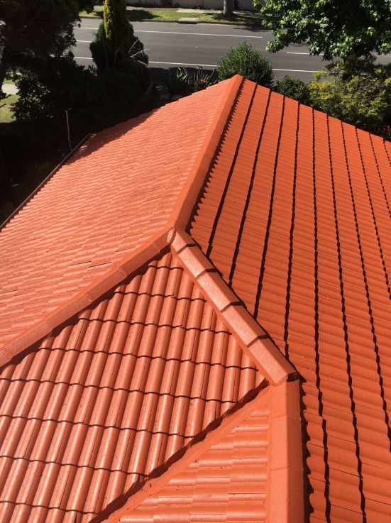Professional Roof Painting Services Addelaide