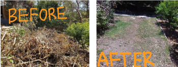 Rubbish Removal Service Sydney | Hoarding Cleanup