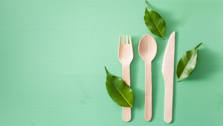 eco-friendly disposable plate and cutler