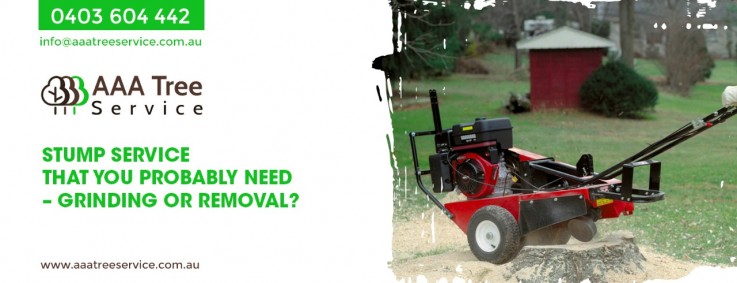 Tree Removal Company