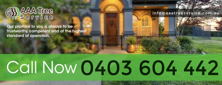 Tree Removal Company