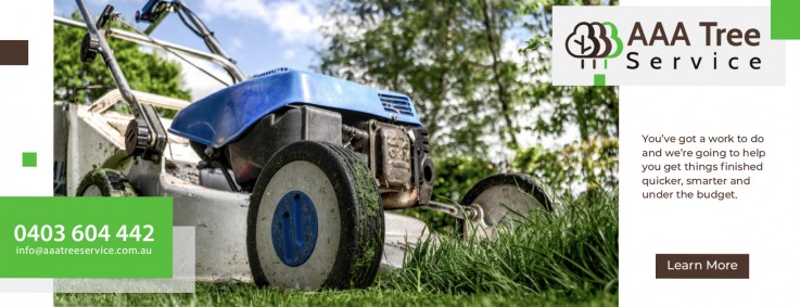 Tree Removal Company