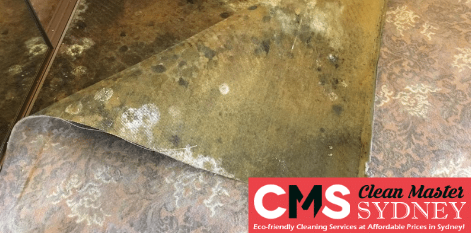 Carpet Cleaning Caringbah