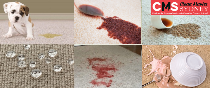 Carpet Cleaning Caringbah