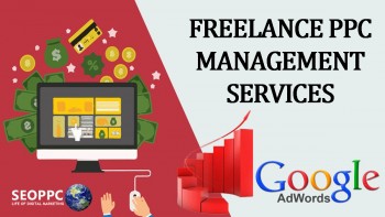 Freelance PPC Management Services