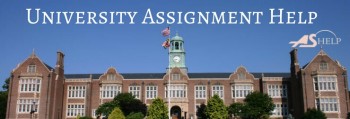 University Assignment help
