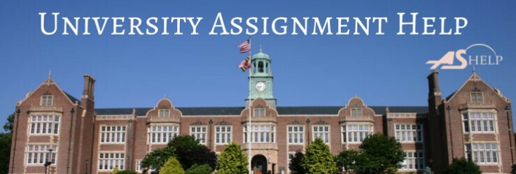 University Assignment help