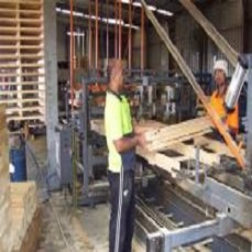 Purchase New & Recycled Timber Pallets In Melbourne With Affordable Rates