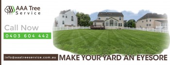 Tree Pruning & Trimming Services