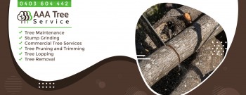 Tree Pruning & Trimming Services