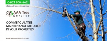  Tree Pruning & Trimming Services