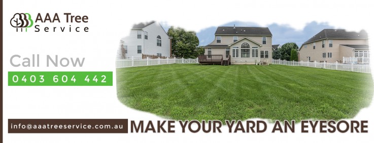  Tree Pruning & Trimming Services