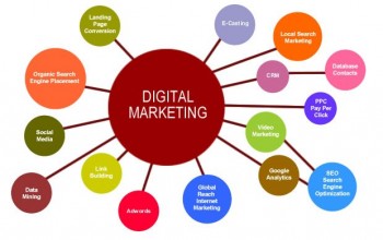 Digital MArketing in Noida