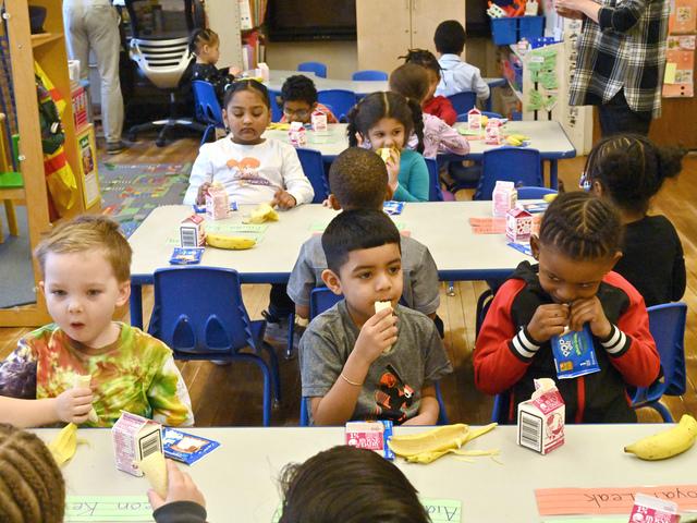 Annandale Christian College