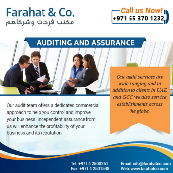 Need Audit & Assurance Service?