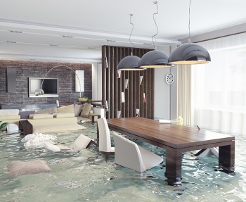 Quest for a flood damage restoration Melbourne?