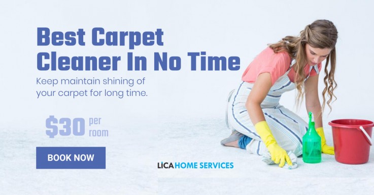Save 20% Extra On Pro Carpet Cleaning 