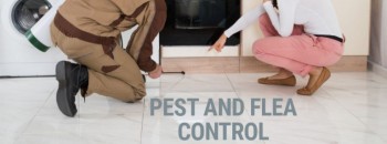 Grab 40% OFF ON Pest Control