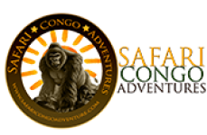 HIKING IN VIRUNGA NATIONANYIRAGONGO VOLCANOL PARK