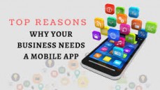 BUSINESS DATING WEB IOS ANDROID APP WEBPORTALS DEVELOPMENT SERVICES IN YOUR BUDGET