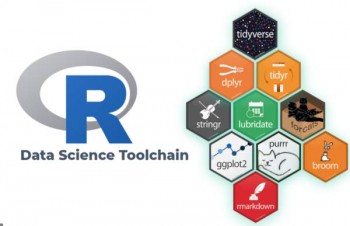 DATA VISUALIZATION ANALYSIS COMPUTER PROGRAMMING LANGUAGES WEB SCRAPING SERVICES  