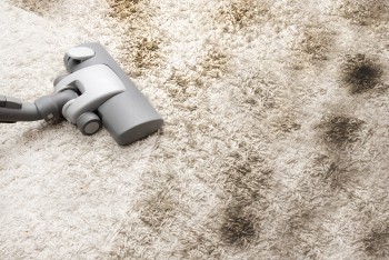 Carpet Dry Cleaning Ipswich