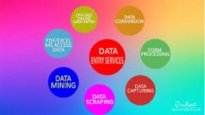  100% ACCURATE DATA PRODUCT PDF MANAGEMENT DATA ENTRY WEB SCRAPPING SERVICES 