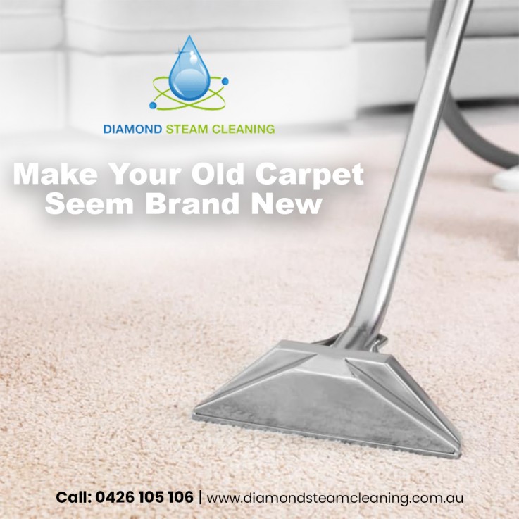 Call Professional Carpet Cleaning in Dandenong