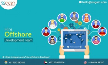 Hire premium offshore application programmer 