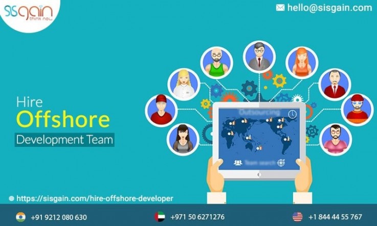 Hire premium offshore application programmer 