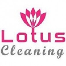 Lotus Couch Steam Cleaning Clayton South
