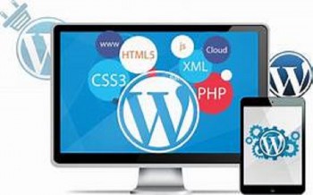 Experienced Wordpress Website Developer