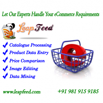 Data feed Management Services for Online