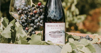 Hirsch Hill Shiraz named one of James Halliday’s Best Value Wines - Hirsch Hill Estate