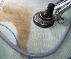 Same Day Carpet Cleaning Wynnum