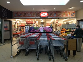 IGA Bobbin Head