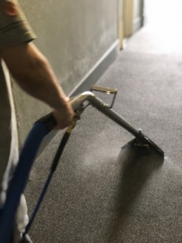 Carpet Cleaning Trafalgar South