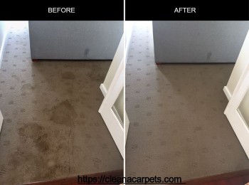 Carpet Flood Damaged - CleanaCarpets