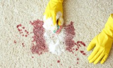 Carpet Cleaning Wyndham Vale