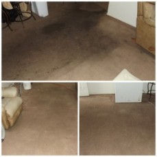 Carpet Cleaning Albany Creek