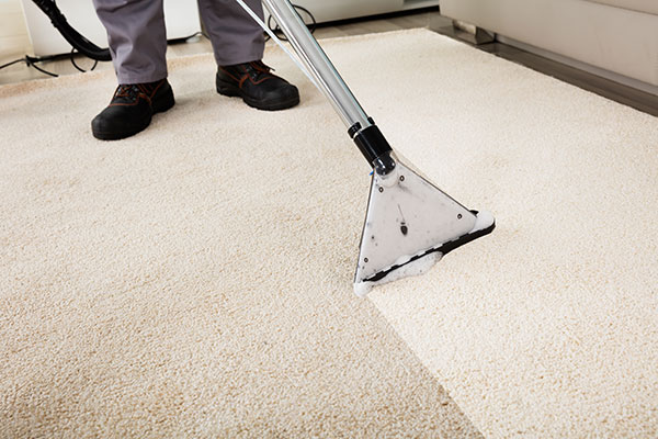 Carpet Cleaning Albany Creek