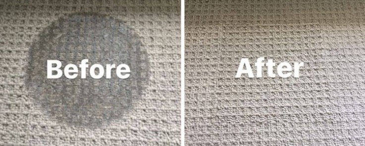 Carpet Cleaning Albany Creek
