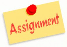Assignment Help 4 Me Online