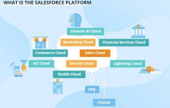 SALESFORCE DEVELOPER ANALYTICS DASHBOARD MARKETING SERVICES CLOUDS 