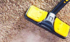 Carpet Cleaning Wilston