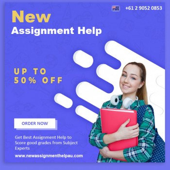 Online Assignment Help in New Castle on 
